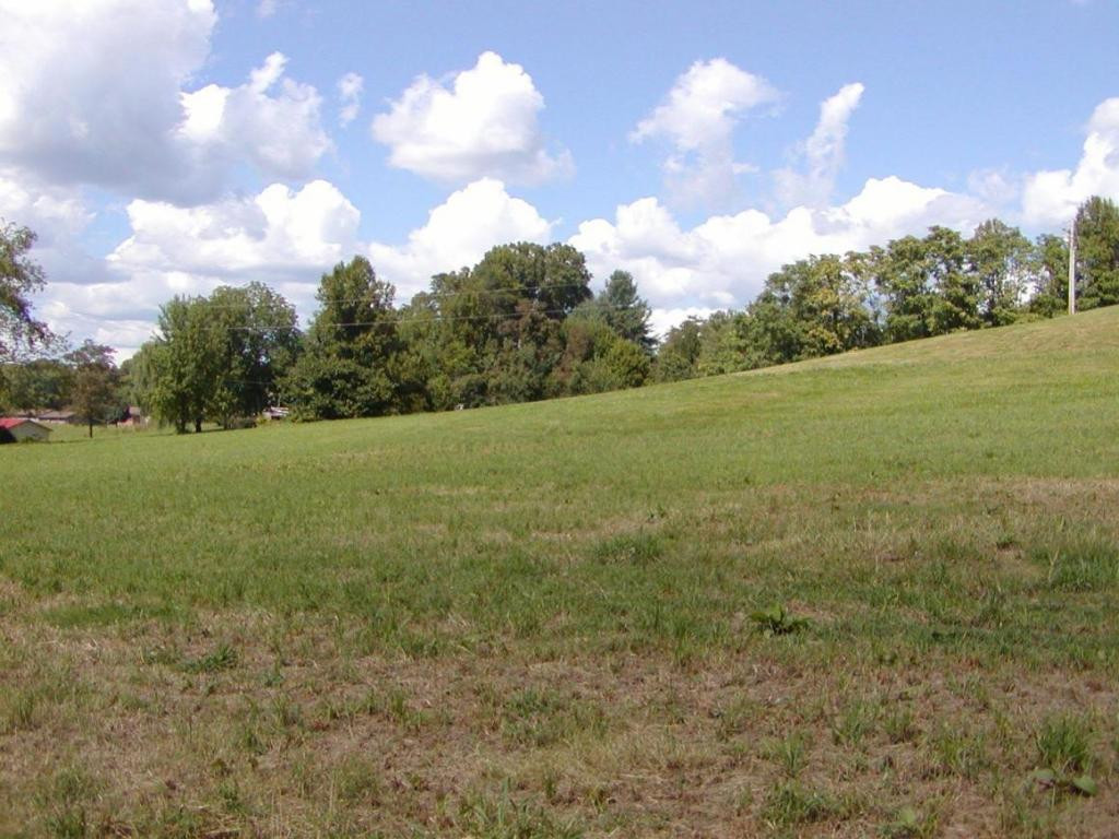 179 Anderson Road Johnson City, TN 37601 - Photo 13 of 24 Photo 13