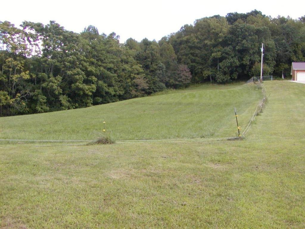 179 Anderson Road Johnson City, TN 37601 - Photo 5 of 24 Photo 5