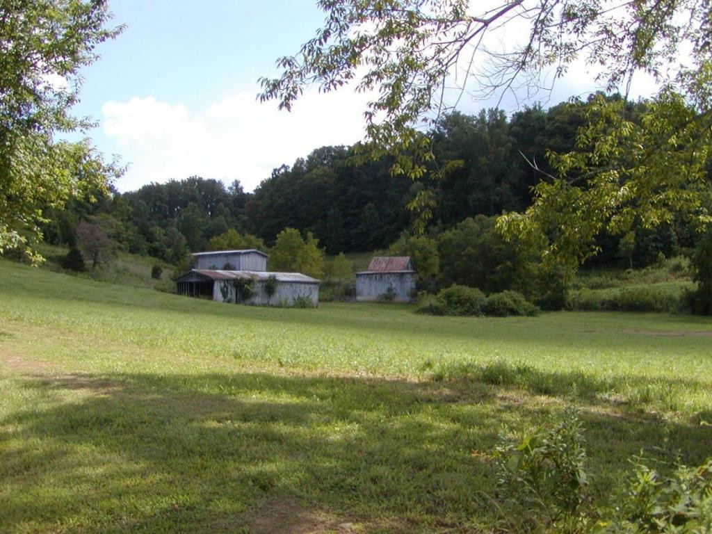179 Anderson Road Johnson City, TN 37601 - Photo 6 of 24 Photo 6