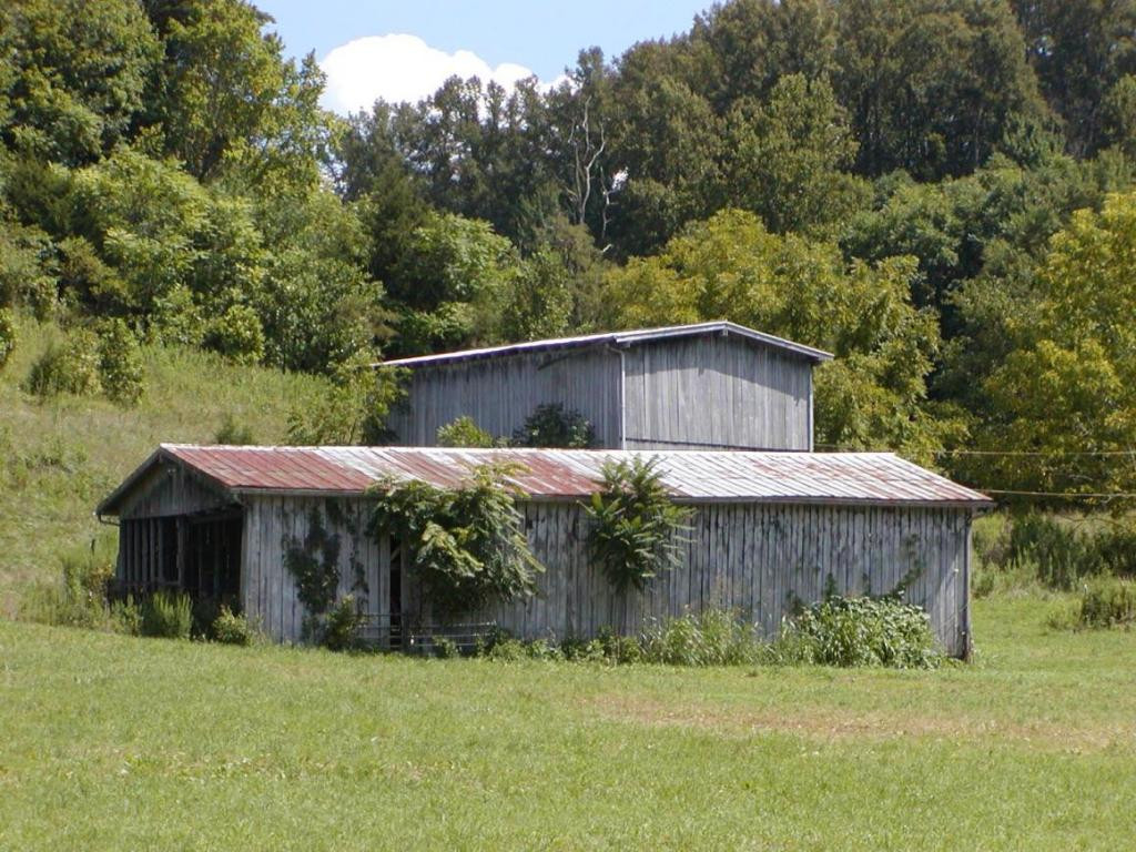 179 Anderson Road Johnson City, TN 37601 - Photo 8 of 24 Photo 8