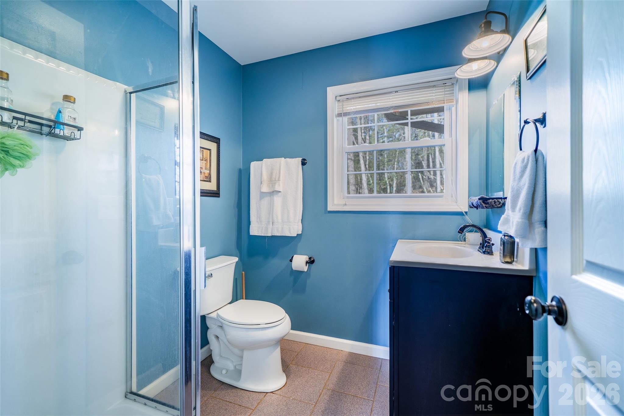 412 Masters View Drive Etowah, NC 28729 - Photo 14 of 30 a bathroom with a sink toilet and shower