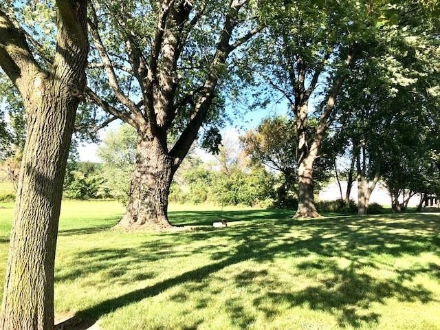 11255 Telegraph Road Pecatonica, IL 61063 - Photo 26 of 28 a view of a trees in a yard