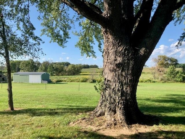 11255 Telegraph Road Pecatonica, IL 61063 - Photo 27 of 28 a view of a garden with an trees