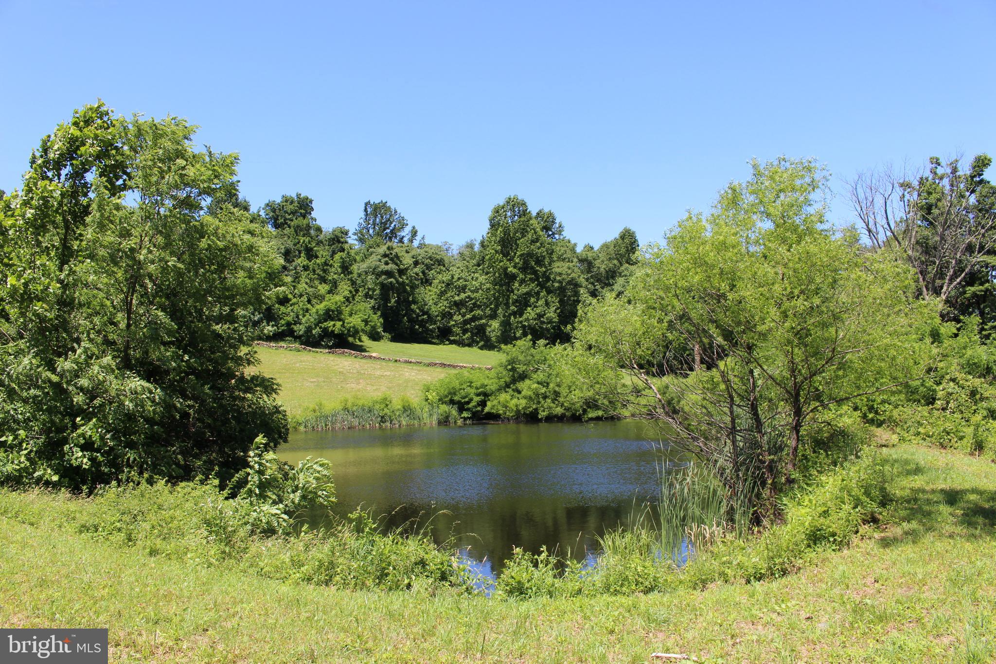 3806 Fiery Run Road Linden, VA 22642 - Photo 14 of 30 Gallery Image 14
