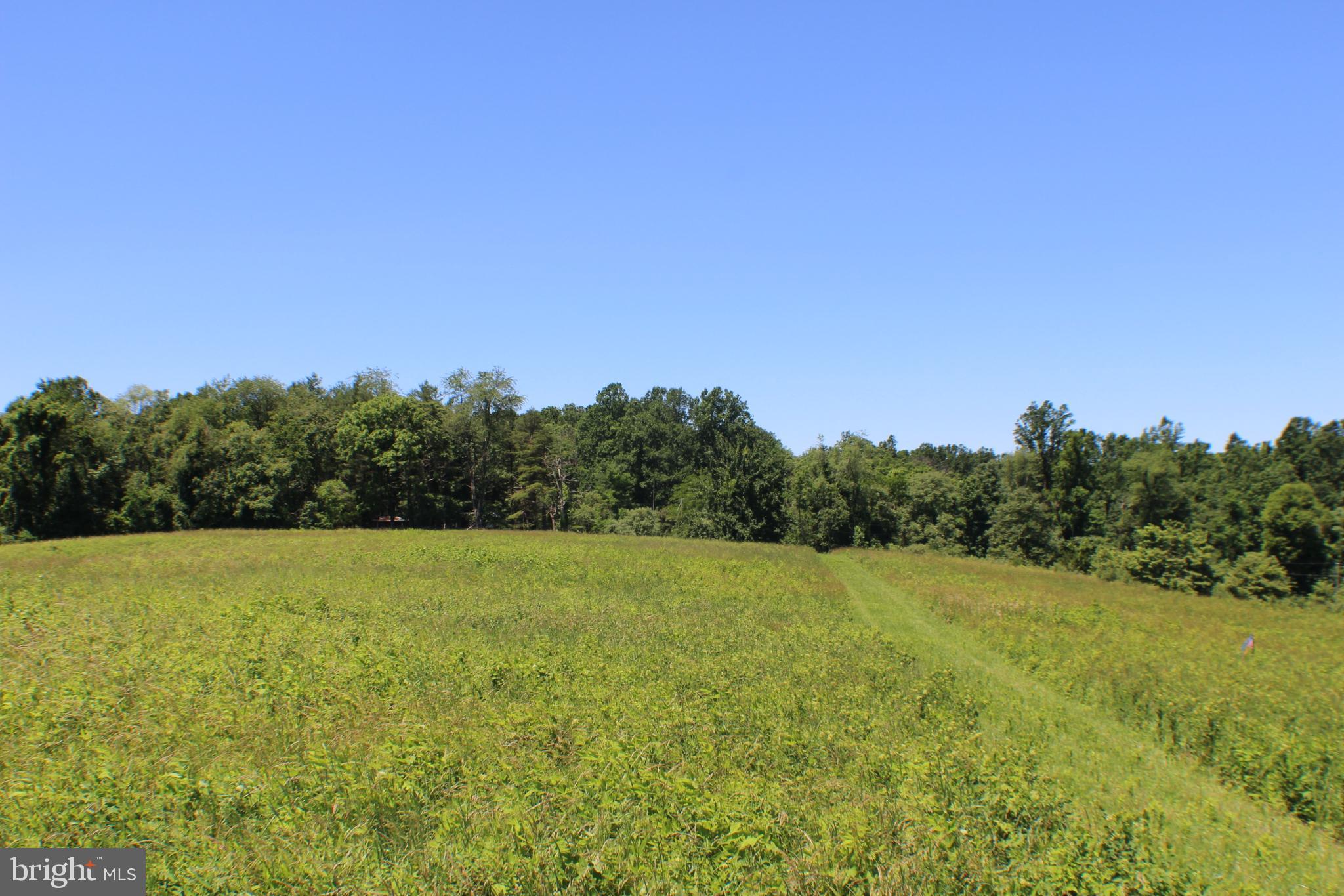3806 Fiery Run Road Linden, VA 22642 - Photo 19 of 30 Gallery Image 19