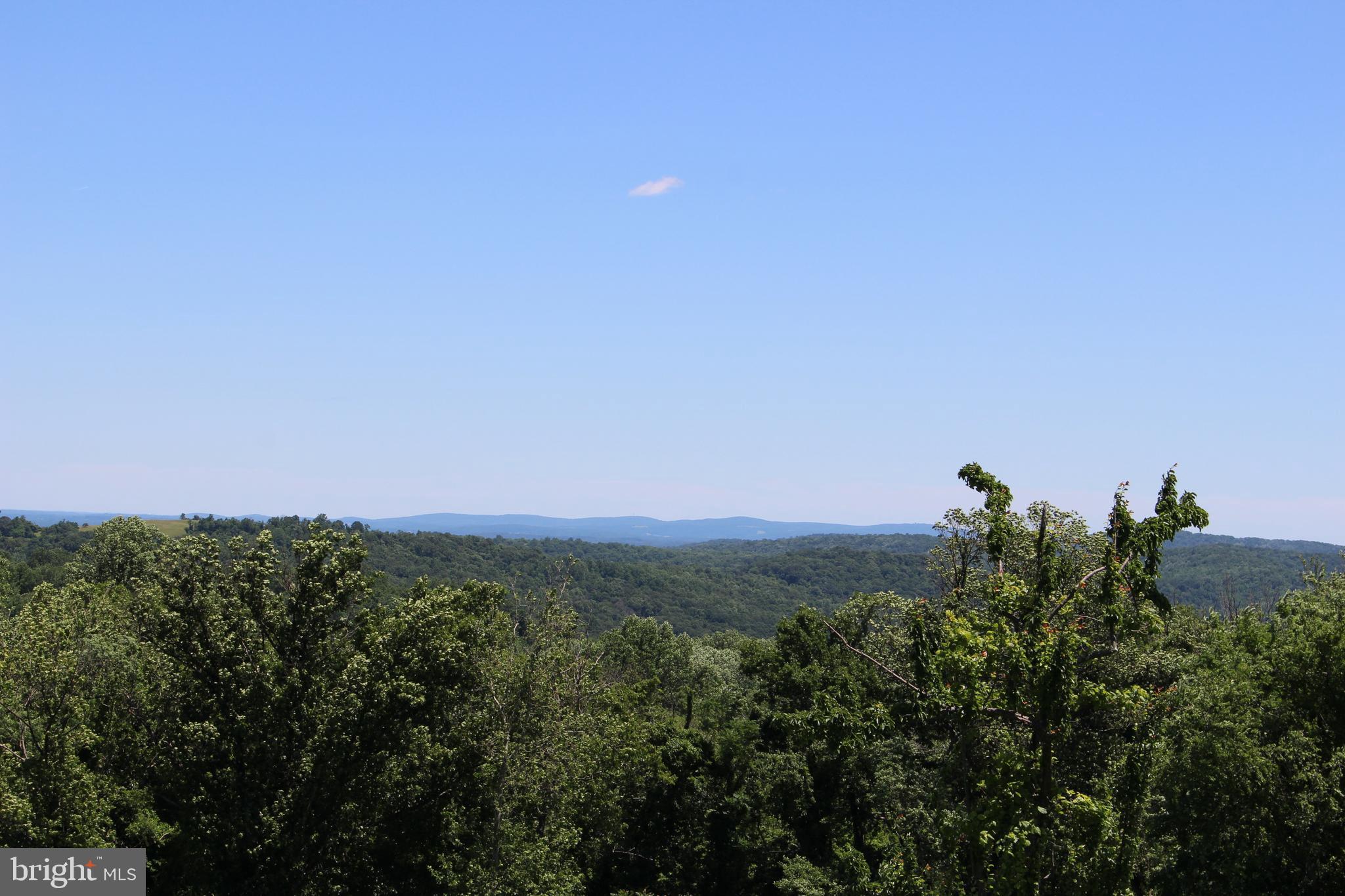 3806 Fiery Run Road Linden, VA 22642 - Photo 21 of 30 Gallery Image 21