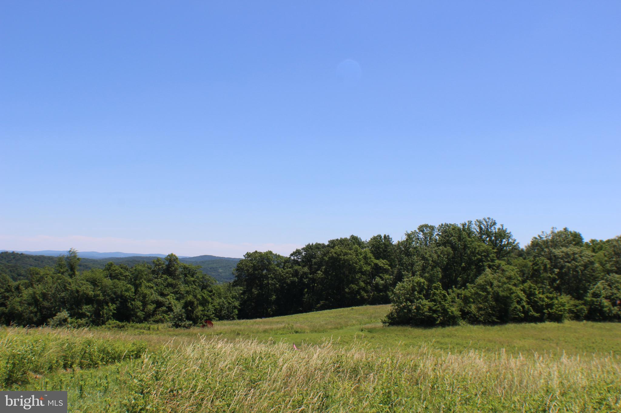 3806 Fiery Run Road Linden, VA 22642 - Photo 26 of 30 Gallery Image 26