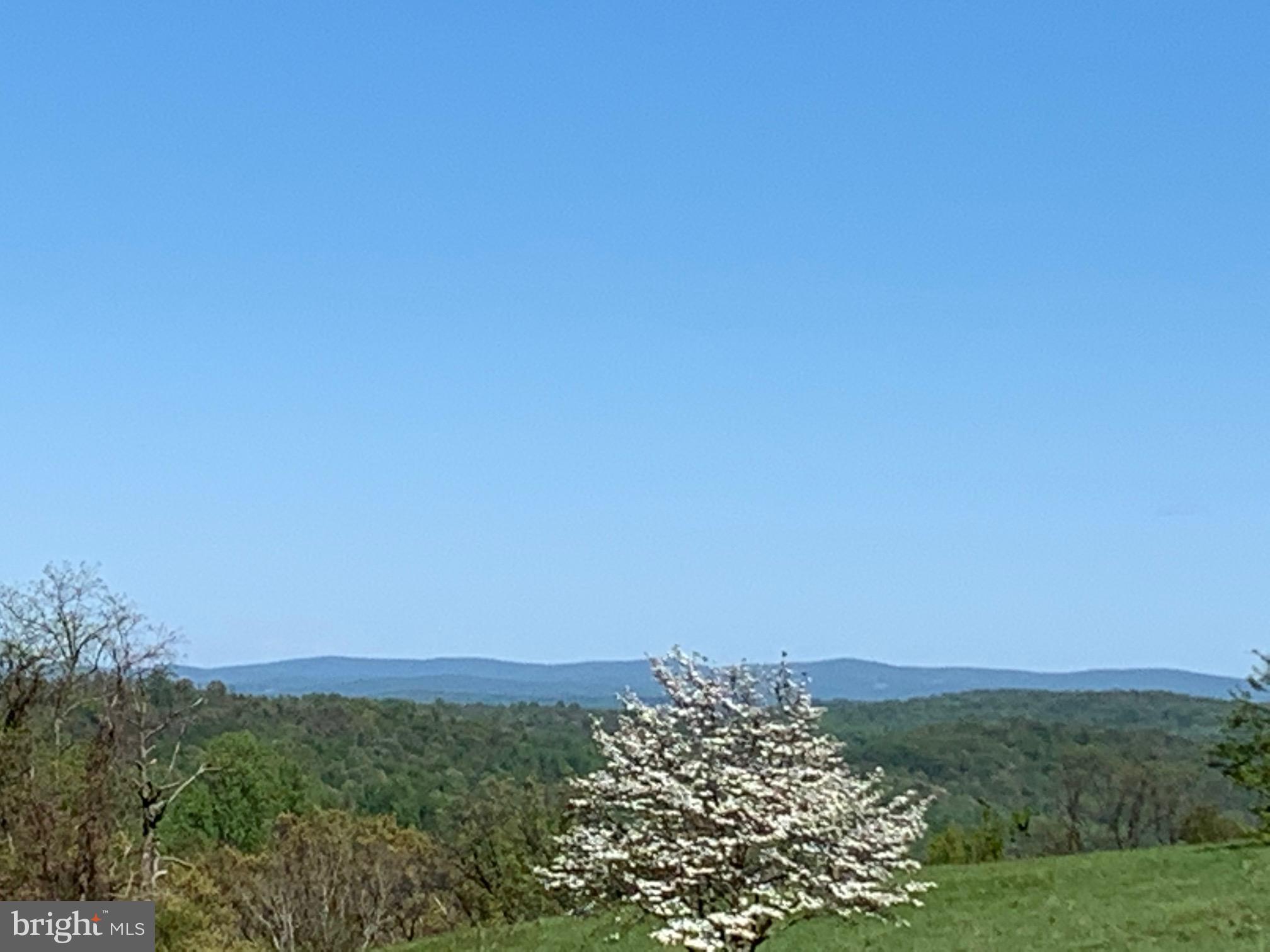 3806 Fiery Run Road Linden, VA 22642 - Photo 4 of 30 Gallery Image 4