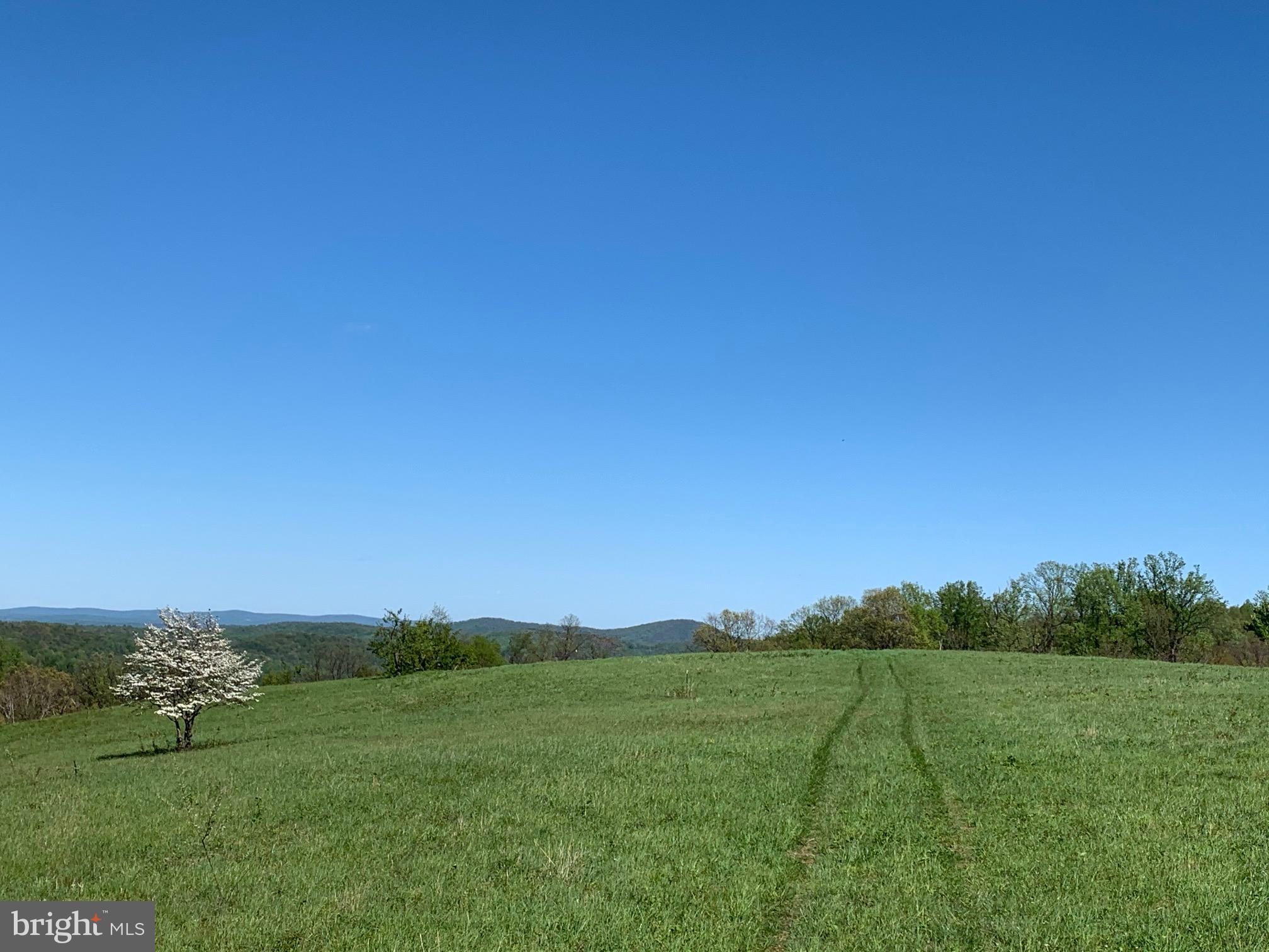 3806 Fiery Run Road Linden, VA 22642 - Photo 5 of 30 Gallery Image 5