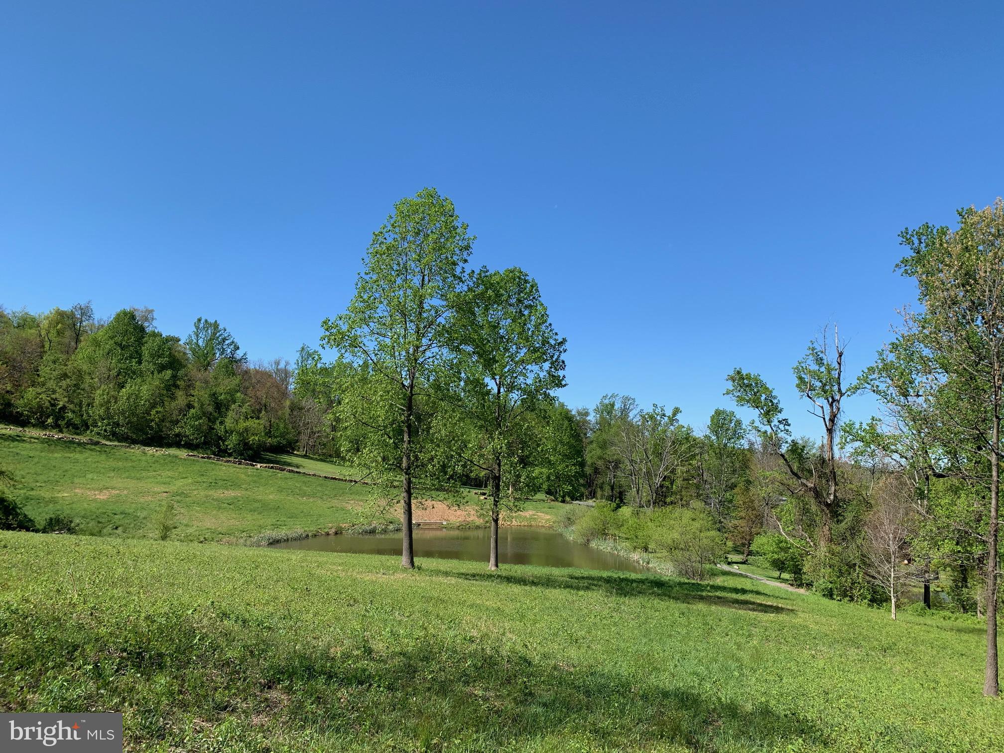 3806 Fiery Run Road Linden, VA 22642 - Photo 8 of 30 Gallery Image 8