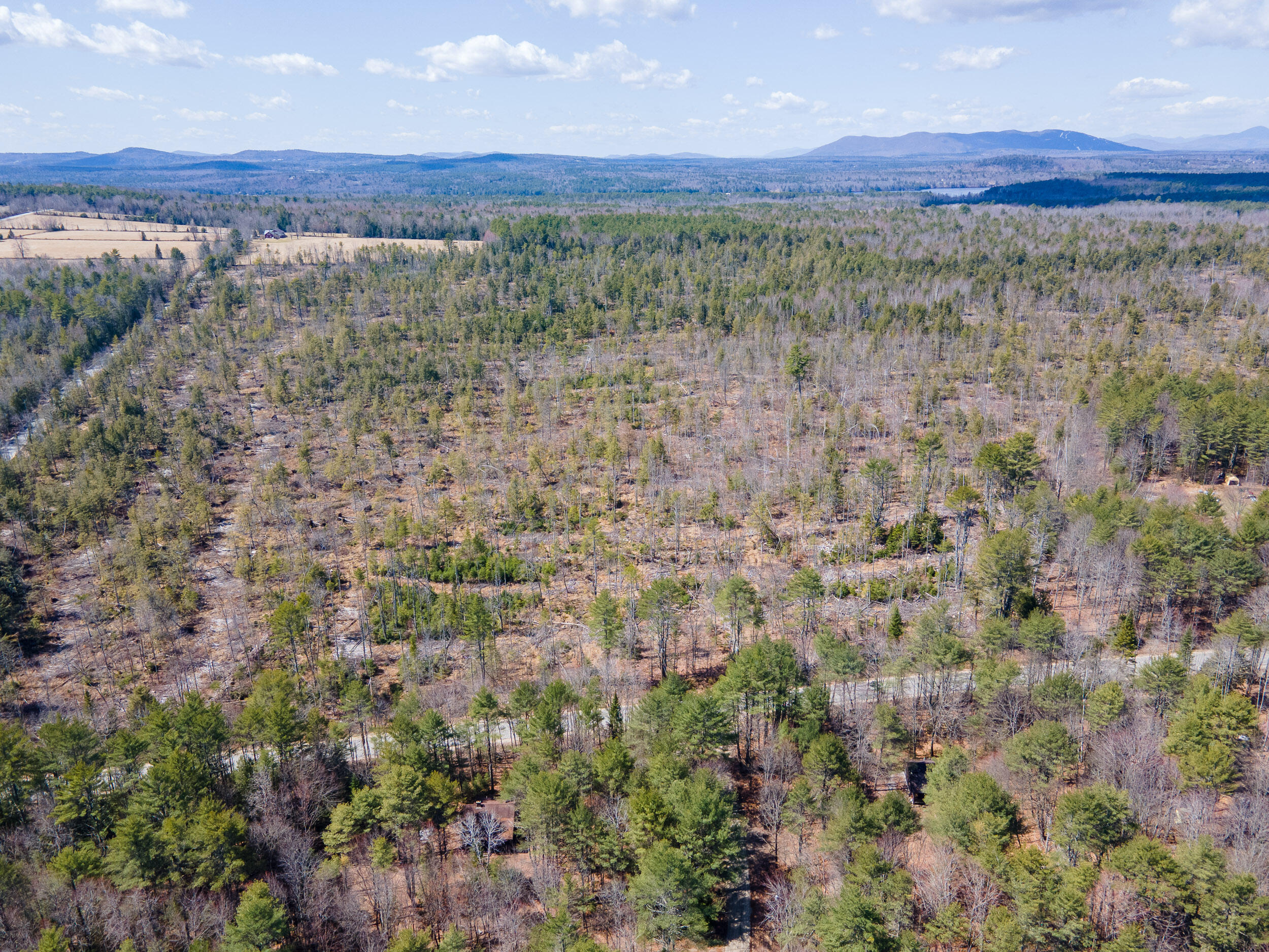 Lot 3 Big Woods Road Harrison, ME 04040 - Photo 23 of 26 Lot 3 Big Woods Rd_Harrison_21