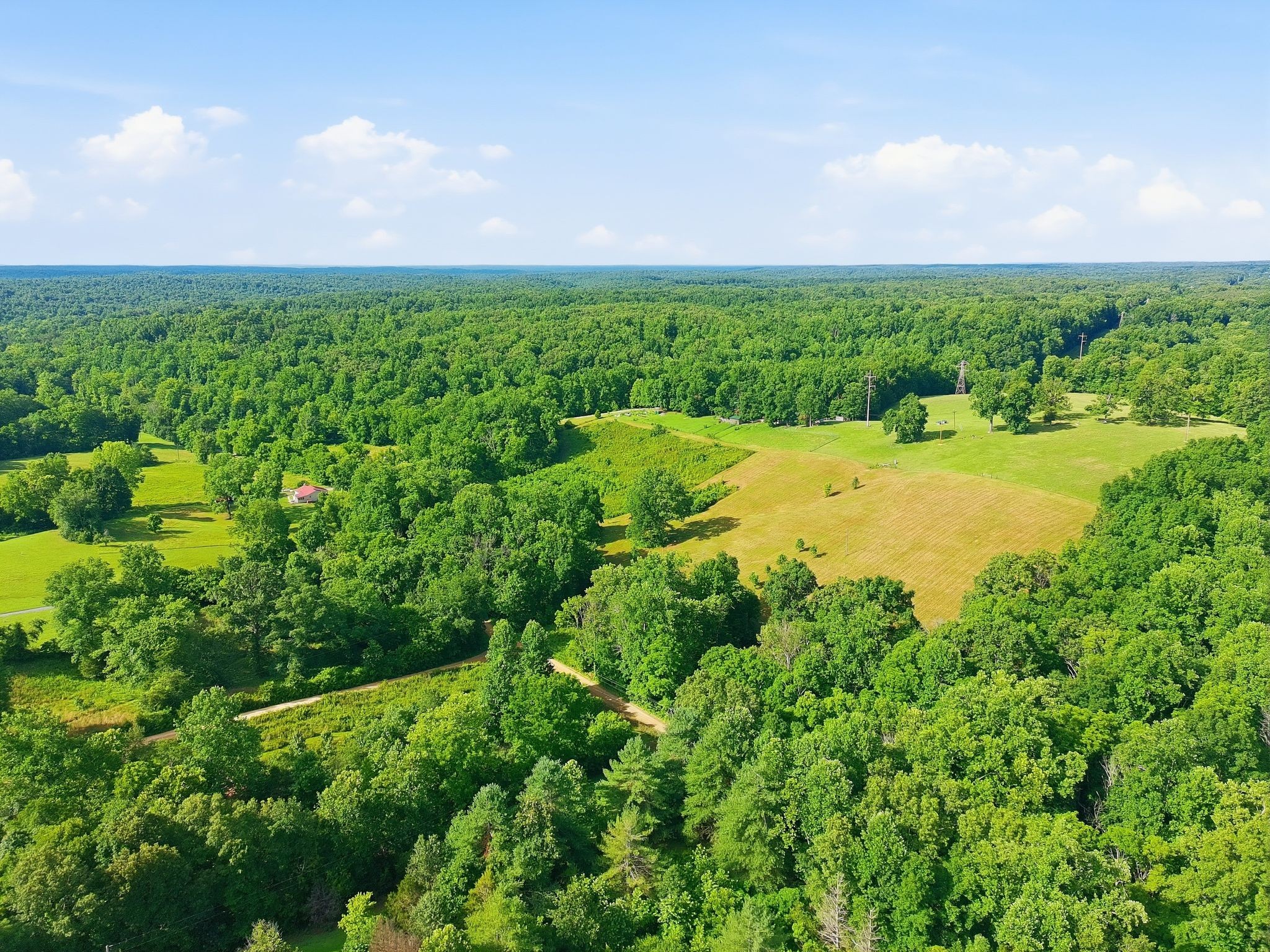 0 Alex Goins Road Lyles, TN 37098 - Photo 3 of 27 Gallery Image 3