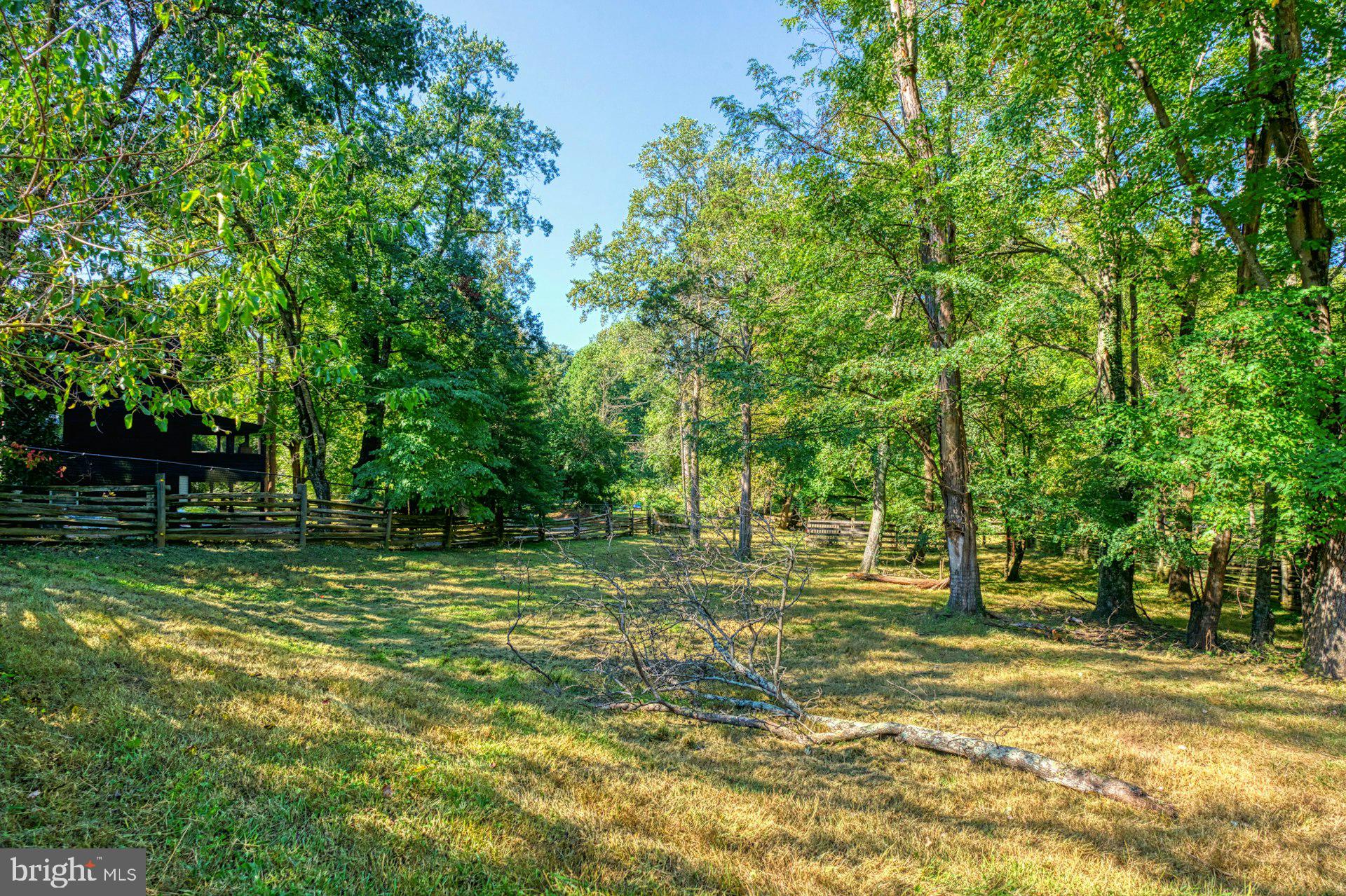 5250 Winfield Road Fairfax, VA 22030 - Photo 14 of 57 a view of a trees in a yard
