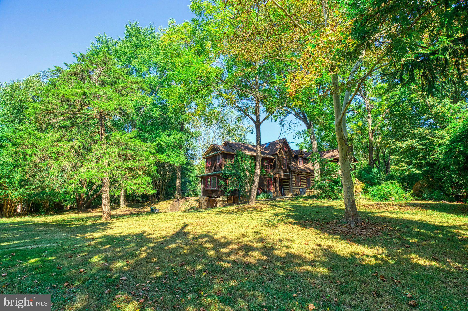 5250 Winfield Road Fairfax, VA 22030 - Photo 19 of 57 a view of a tree in front of a house