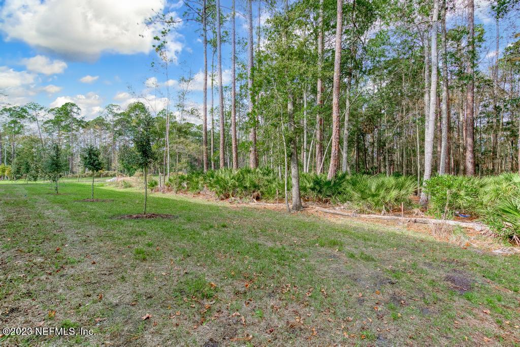279 Talulla Trail St. Augustine, FL 32095 - Photo 32 of 52 a view of a park with a tree in the background