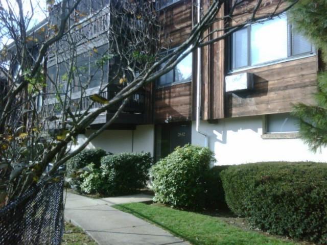 a view of a back yard of the house