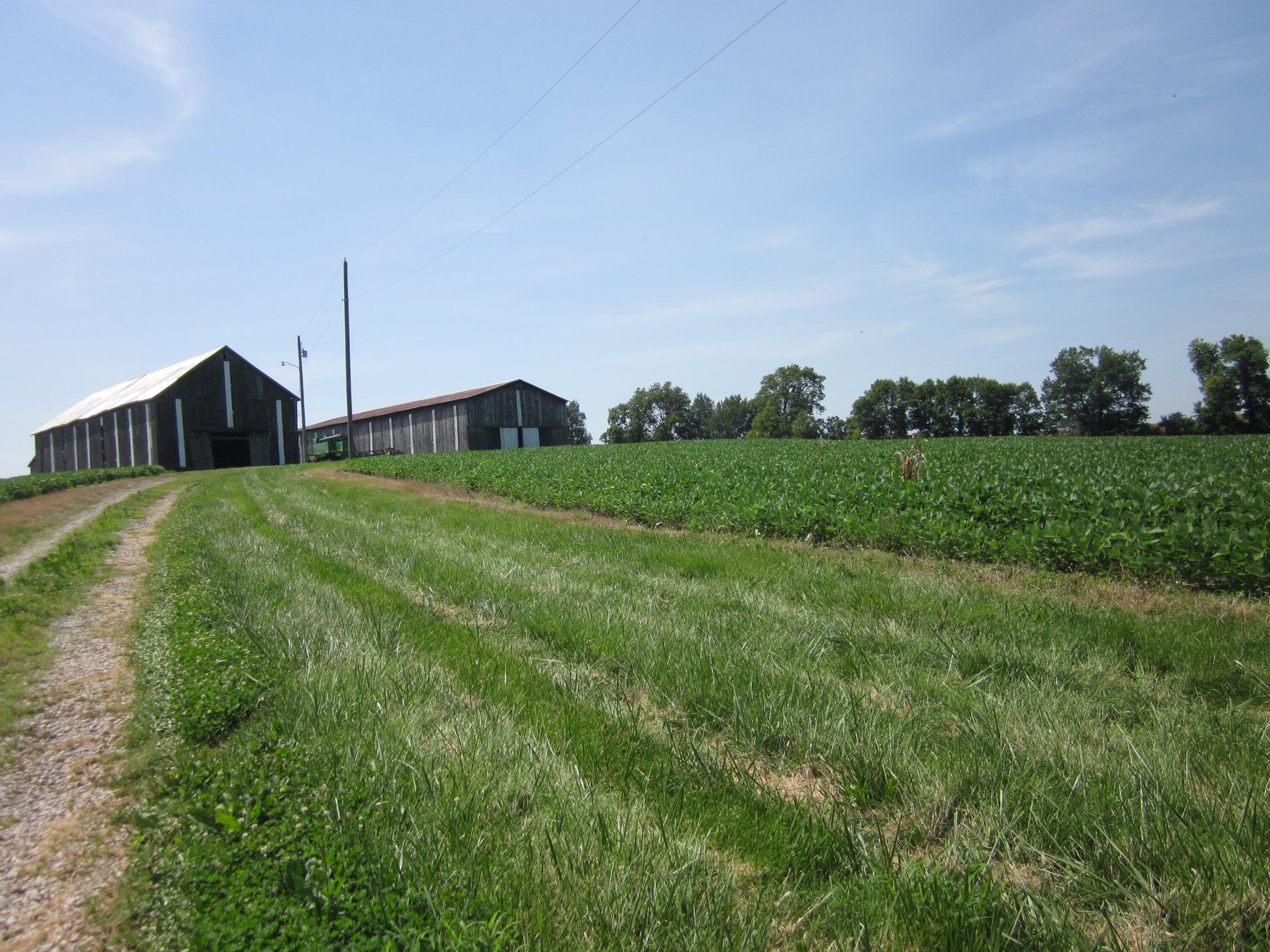 3115 Houston Antioch Road Lexington, KY 40516 - Photo 7 of 62 IMG_7847