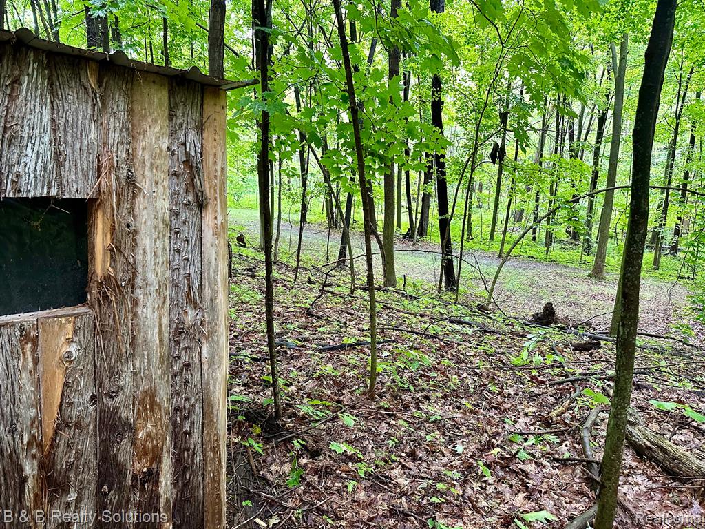 0 South Lake Pleasant Road Metamora, MI 48455 - Photo 21 of 32
