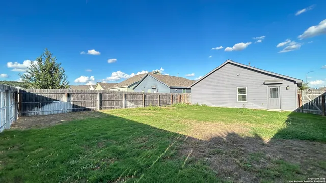 a view of a backyard with plants and large tree
