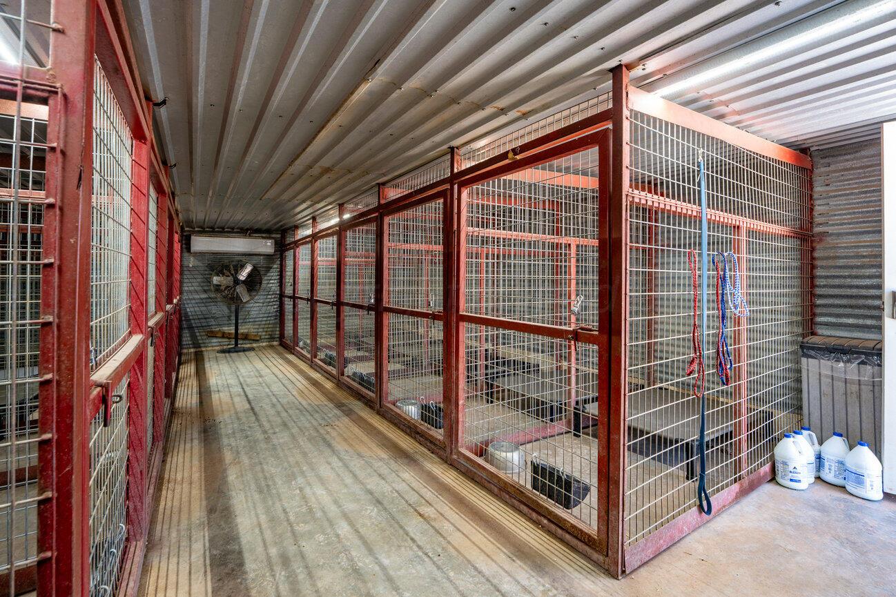693 County Road 24 Muleshoe, TX 79347 - Photo 61 of 98 Kennel