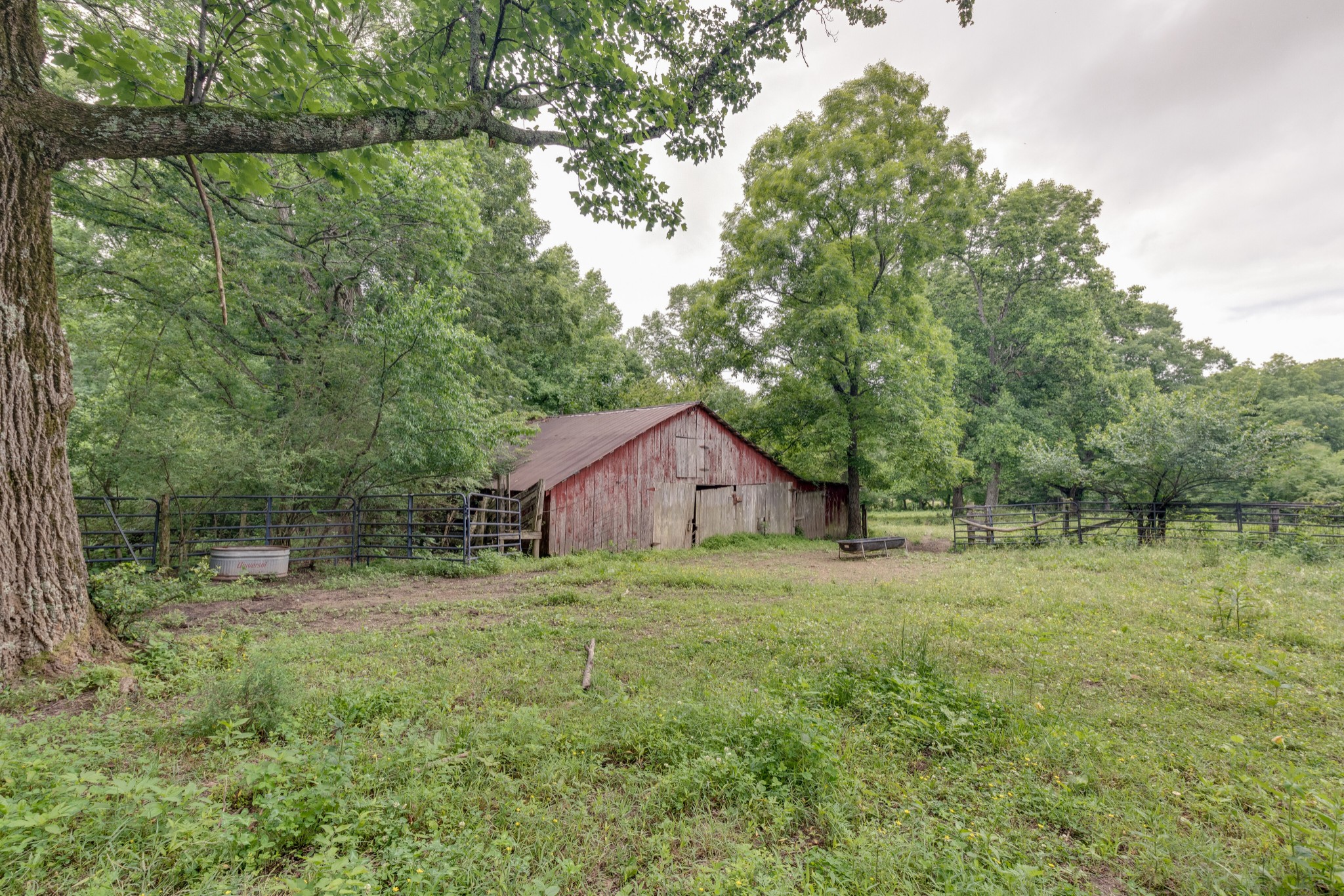 7795 Pewitt Road Franklin, TN 37064 - Photo 16 of 20 a big yard with lots of green space and plants