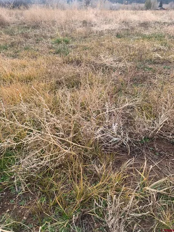 $145,000 | 40880 Road H, Mancos, CO 81328