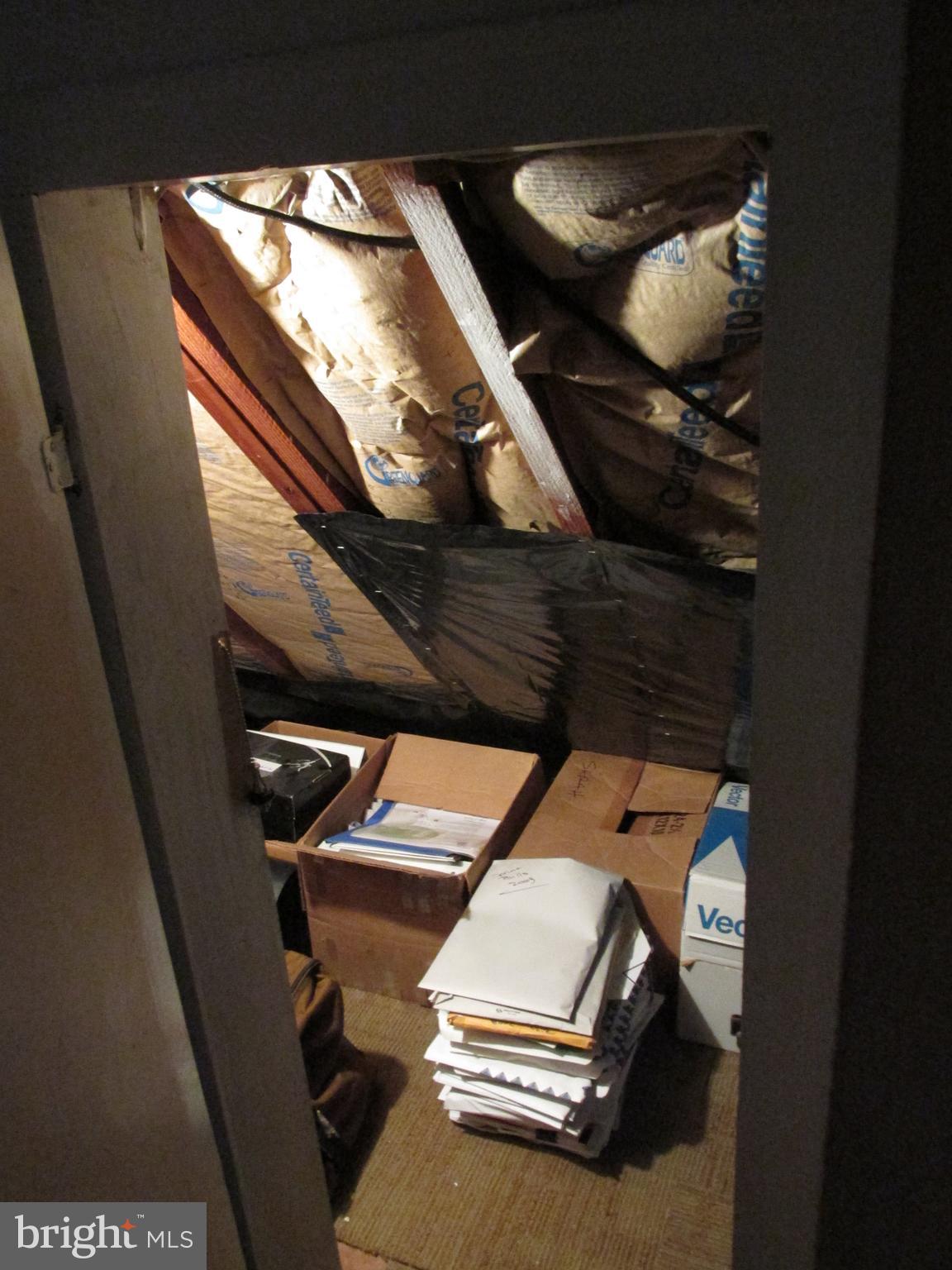 3003 Dunleer Road Baltimore, MD 21222 - Photo 22 of 38 Storage closet