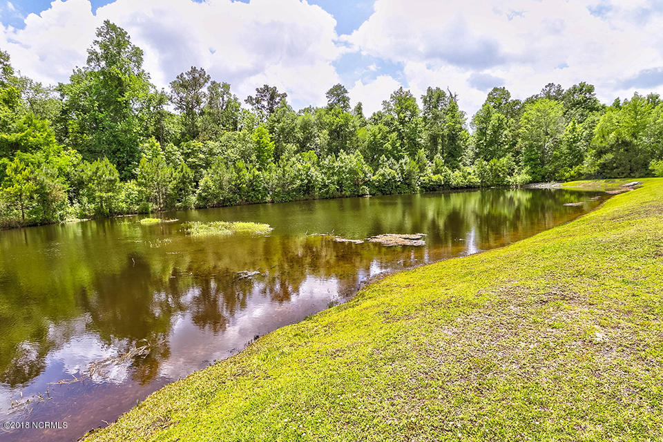 1602 Stones Edge Loop Road Wilmington, NC 28405 - Photo 54 of 55 IMG_3006_7_8