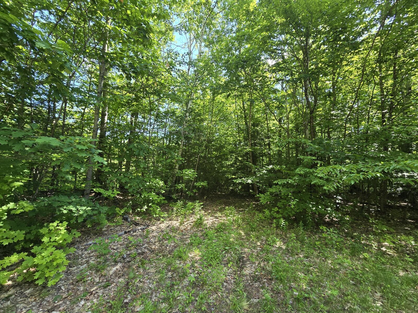 Lot 67 Temple Road Temple, ME 04984 - Photo 19 of 20 20260624_095302