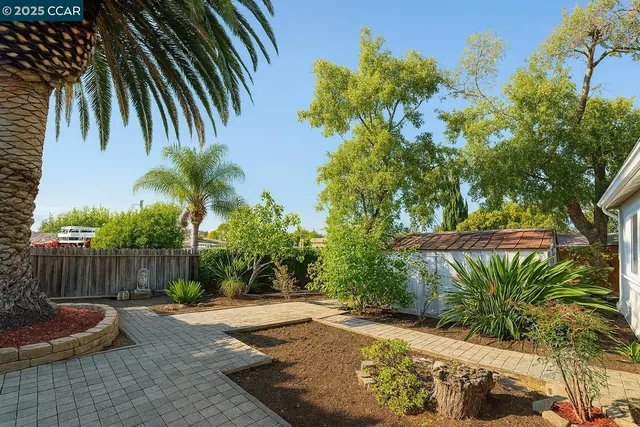 a view of a backyard with a garden