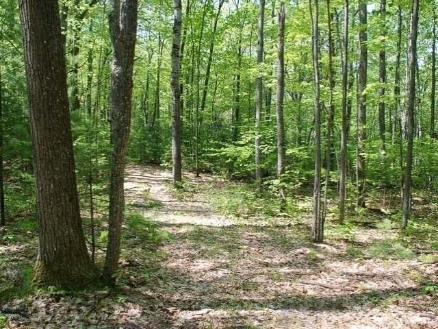 5691 Oak Ridge Drive Gladwin, MI 48624 - Photo 41 of 74