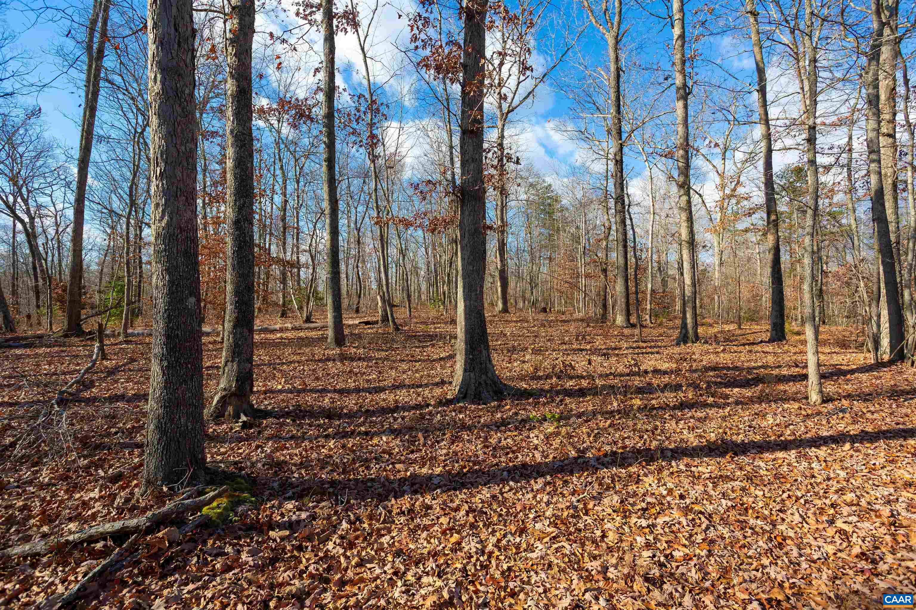Tbd Esmont Road Esmont, VA 22937 - Photo 20 of 29 Gallery Image 20