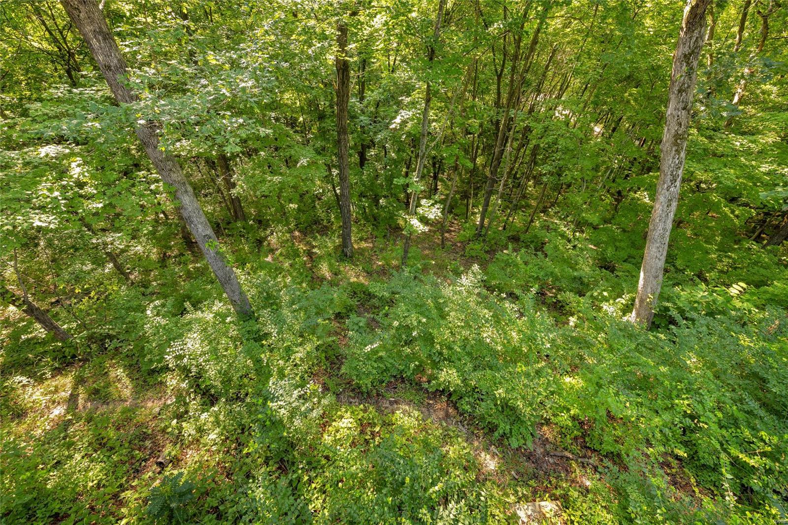 19170 Old Logging Road Wildwood, MO 63038 - Photo 52 of 55 Gallery Image 52