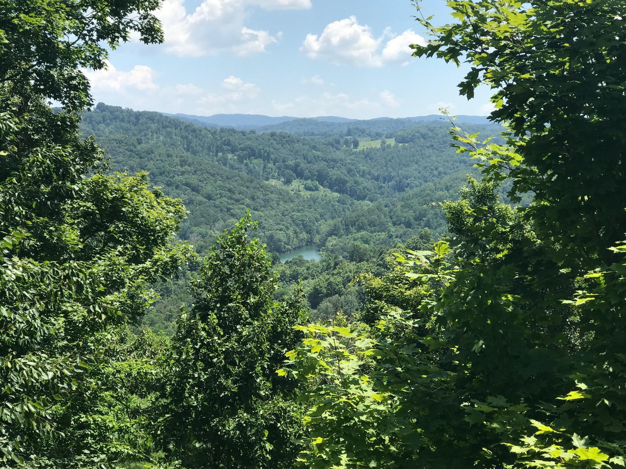 368 Lick Branch Road New Tazewell, TN 37825 - Photo 1 of 18 Lot 368 Lick Branch, LMS Norris Lake TN