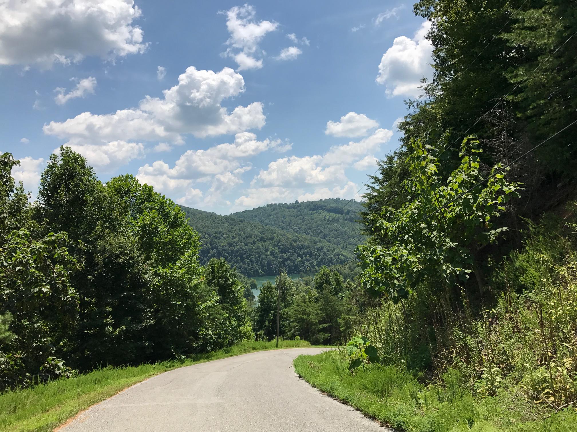 368 Lick Branch Road New Tazewell, TN 37825 - Photo 2 of 18 Lot 368 Lick Branch, LMS Norris Lake TN