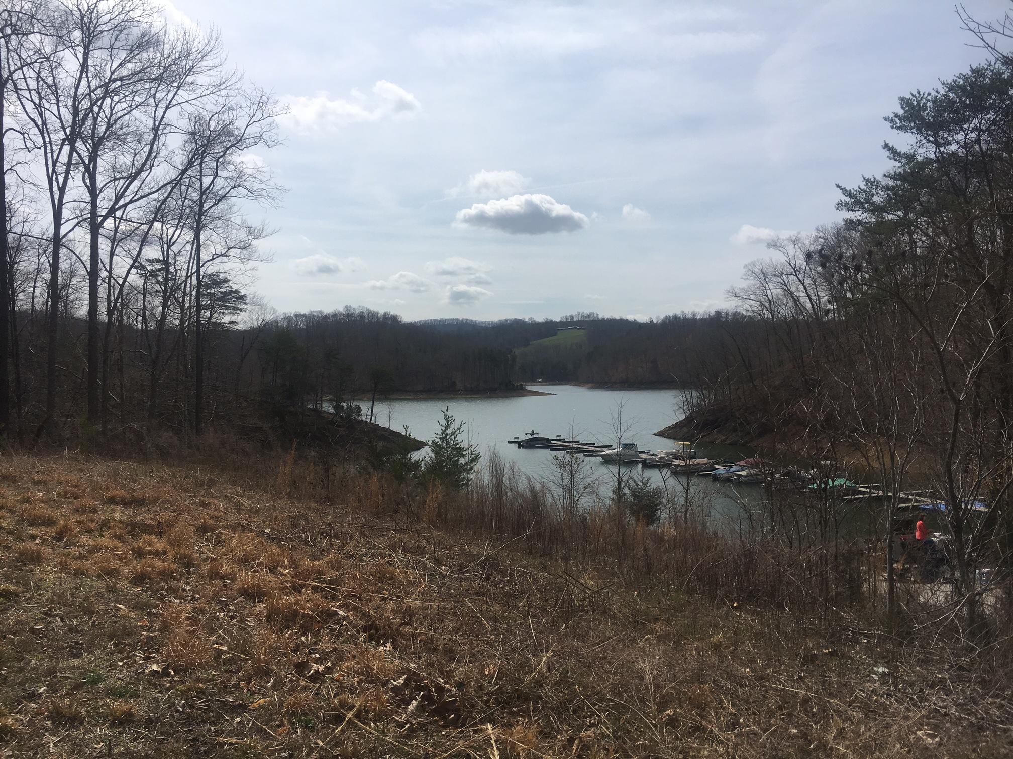 368 Lick Branch Road New Tazewell, TN 37825 - Photo 14 of 18 Welcome to Lone Mtn Shores, Norris Lake