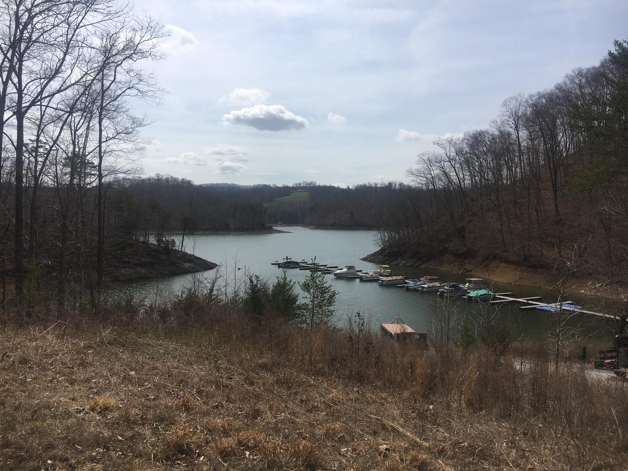368 Lick Branch Road New Tazewell, TN 37825 - Photo 15 of 18 Welcome to Lone Mtn Shores, Norris Lake