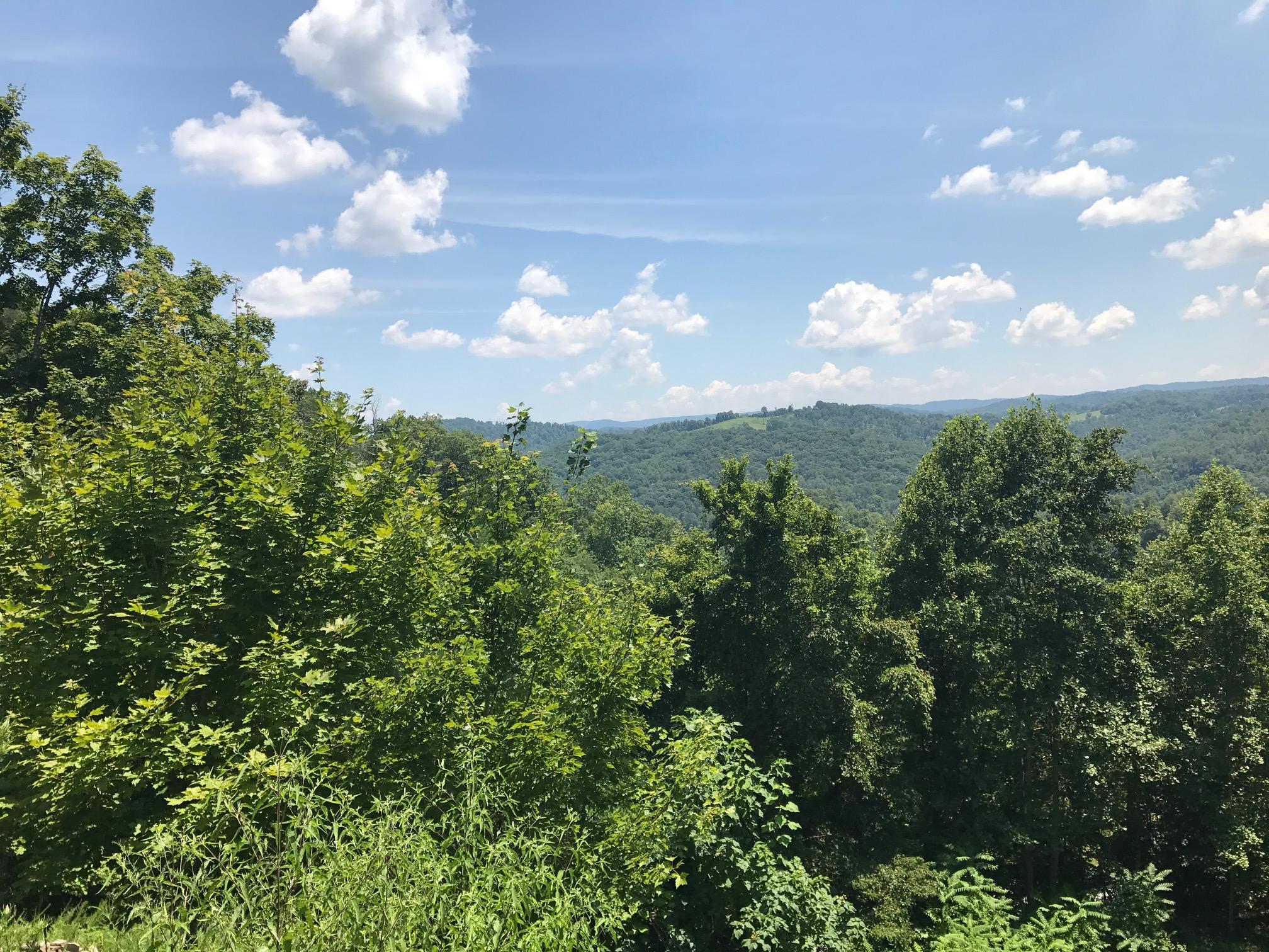 368 Lick Branch Road New Tazewell, TN 37825 - Photo 7 of 18 Lot 368 Lick Branch, LMS Norris Lake TN