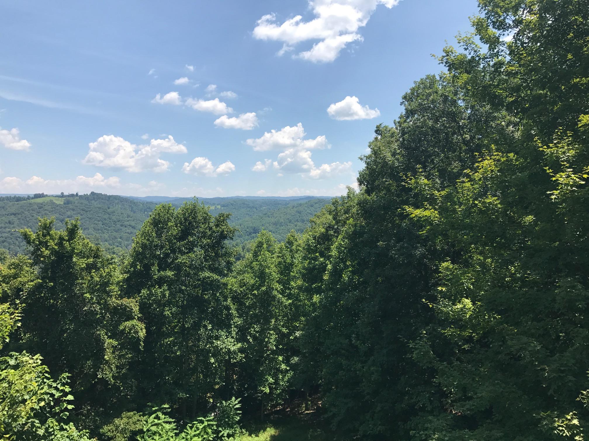 368 Lick Branch Road New Tazewell, TN 37825 - Photo 8 of 18 Lot 368 Lick Branch, LMS Norris Lake TN