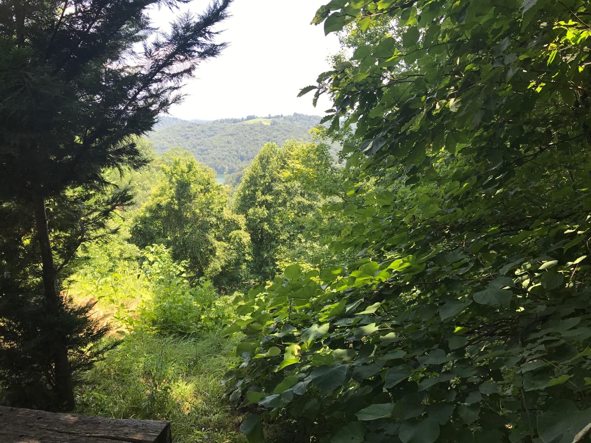368 Lick Branch Road New Tazewell, TN 37825 - Photo 10 of 18 Lot 368 Lick Branch, LMS Norris Lake TN