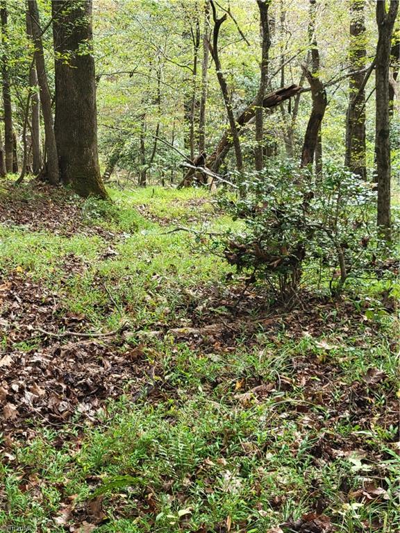 1849 Mission Extension Road Danbury, NC 27016 - Photo 16 of 22 One of the old Paths