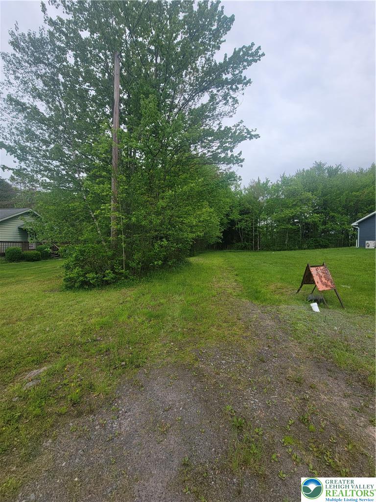 320 Hillside Street Forest City, PA 18421 - Photo 23 of 24 A verdant lot with a gravel driveway, mature trees, and ample space for outdoor activities.