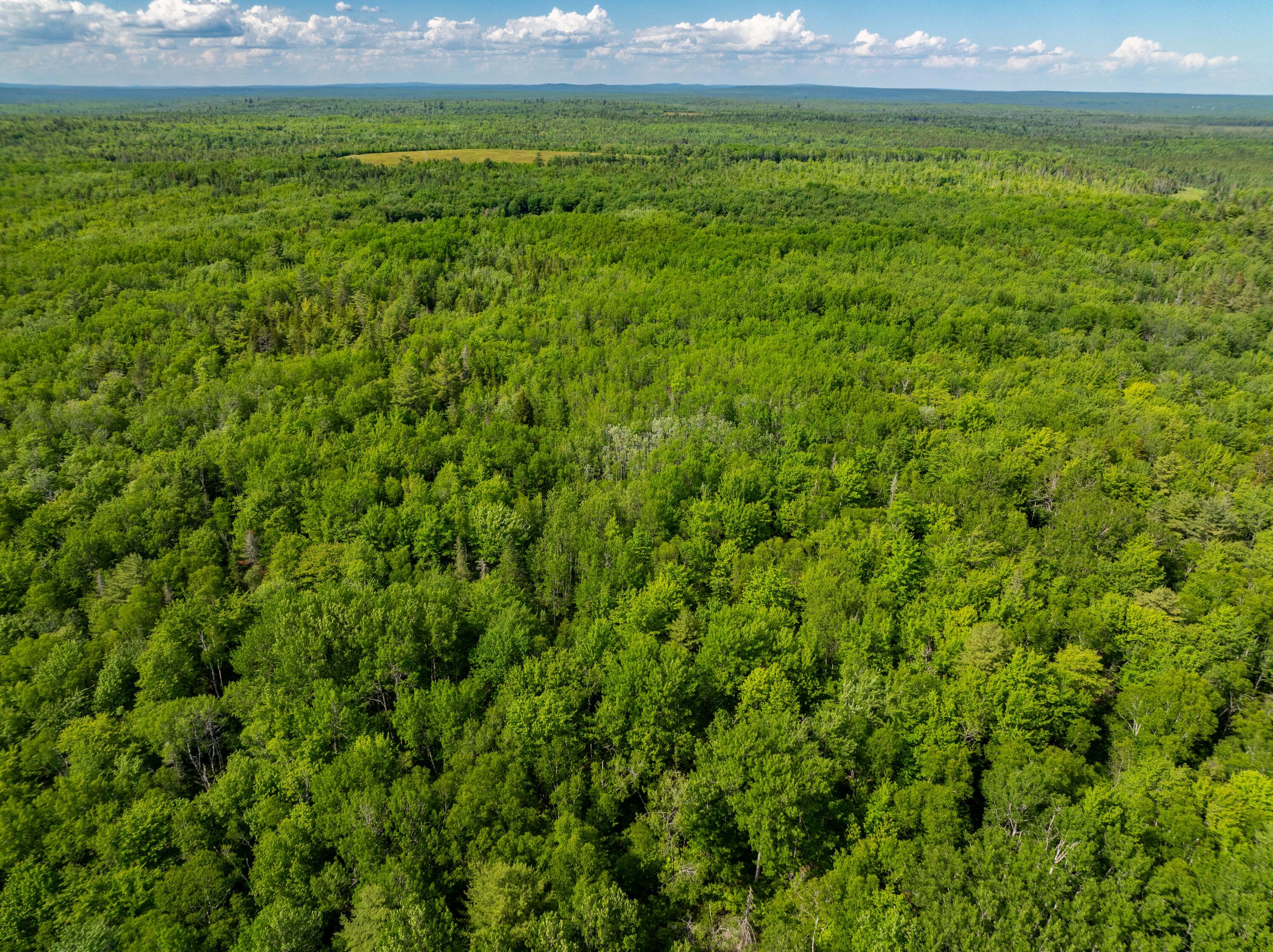 Lot #28 Station Road Jonesboro, ME 04648 - Photo 6 of 26 6-17-26 Station Rd Lot Jonesboro (3 of 2