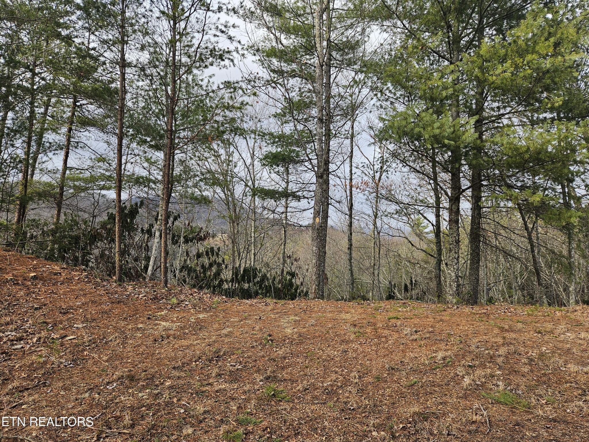 0 South Clear Frk Road Sevierville, TN 37862 - Photo 2 of 30 Gallery Image 2