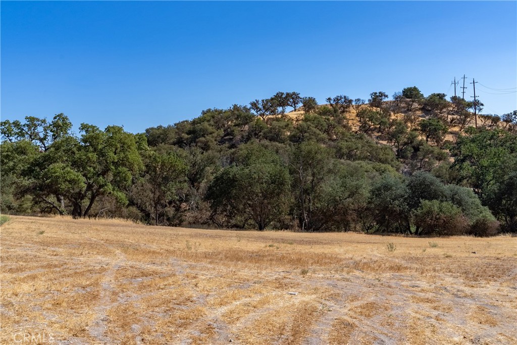 420 Creston Road Paso Robles, CA 93446 - Photo 9 of 16