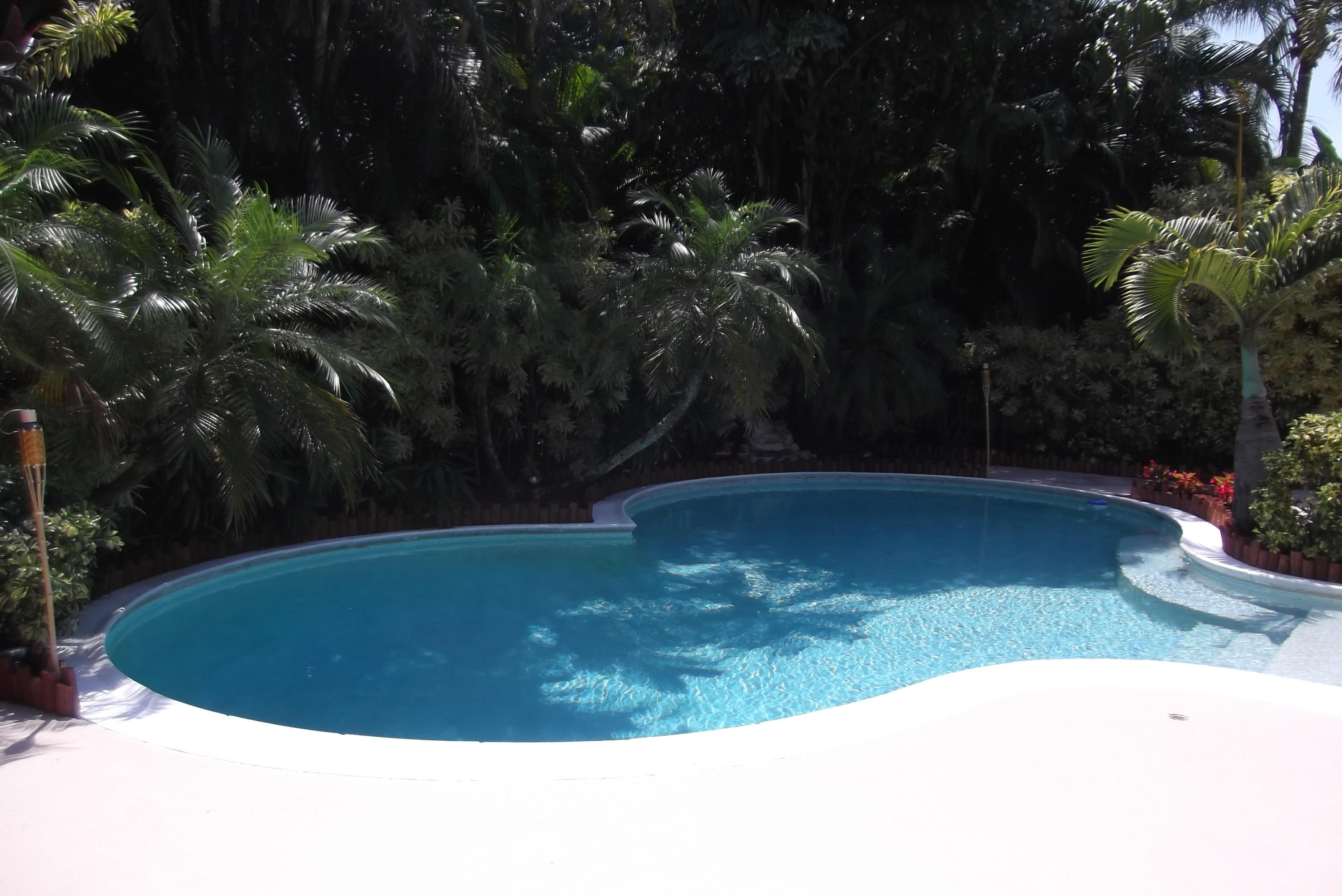 1258 Southwest 13th Place Boca Raton, FL 33486 - Photo 3 of 14 Pool & patio