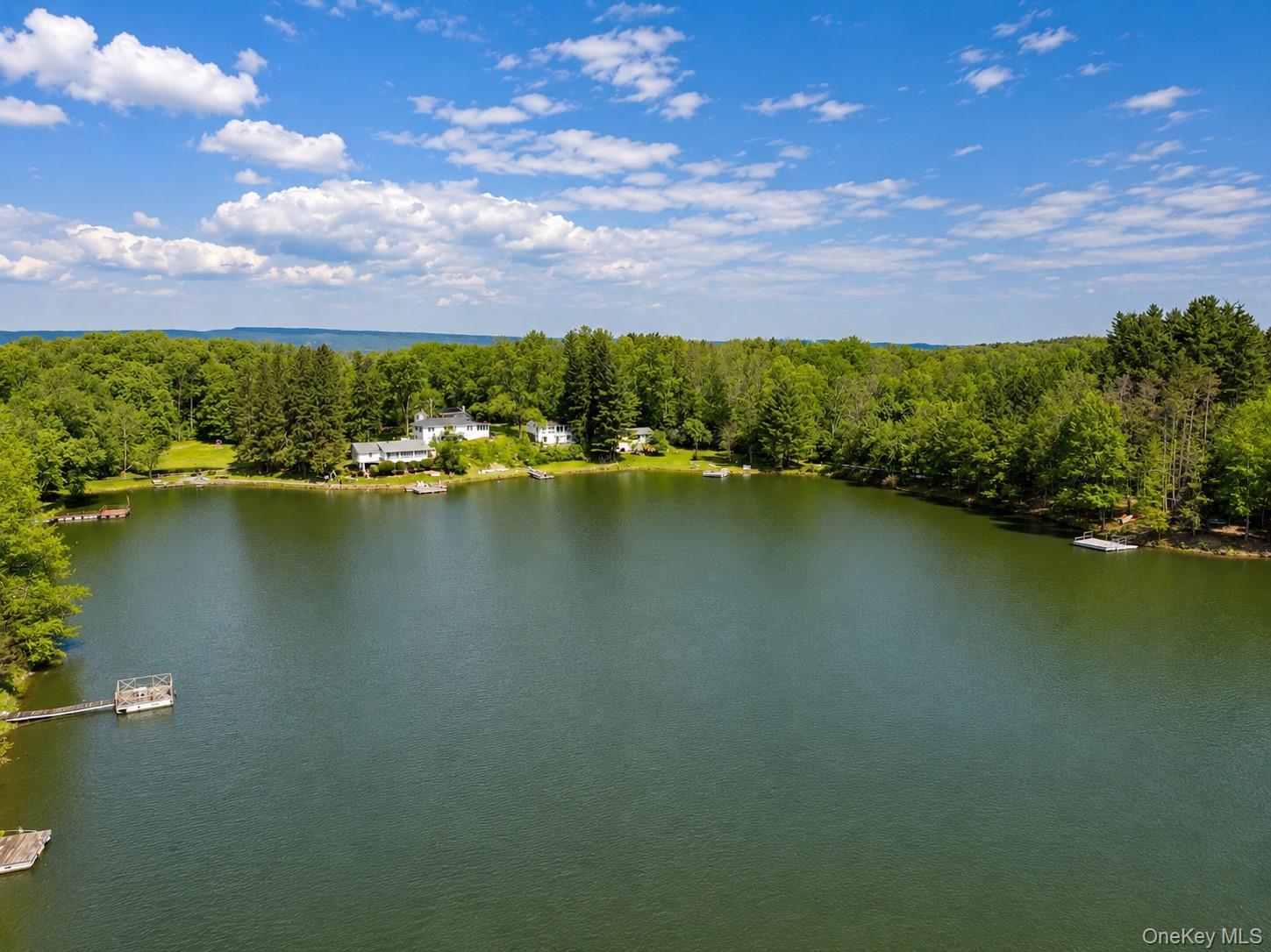 15 Well Road Walden, NY 12586 - Photo 38 of 40 More lake views