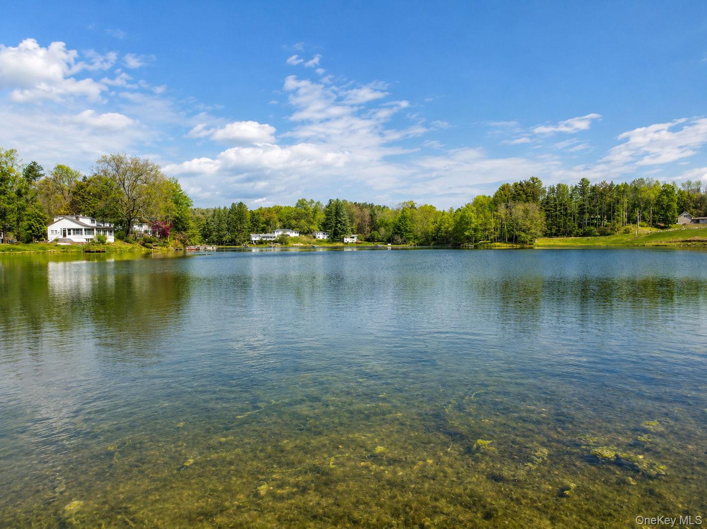 15 Well Road Walden, NY 12586 - Photo 39 of 40 Water's edge lake view