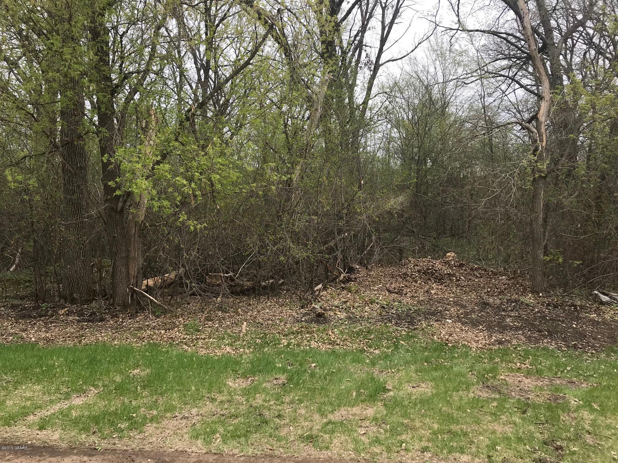 Forada Beach Road Southeast Alexandria, MN 56308 - Photo 1 of 1 Gallery Image 1