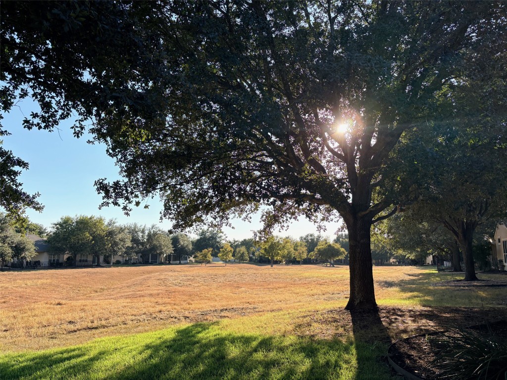 318 Crockett Loop Georgetown, TX 78633 - Photo 2 of 29 a view of an ocean beach
